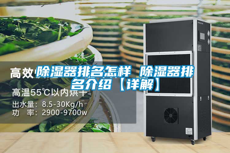 除湿器排名怎样 除湿器排名介绍【详解】