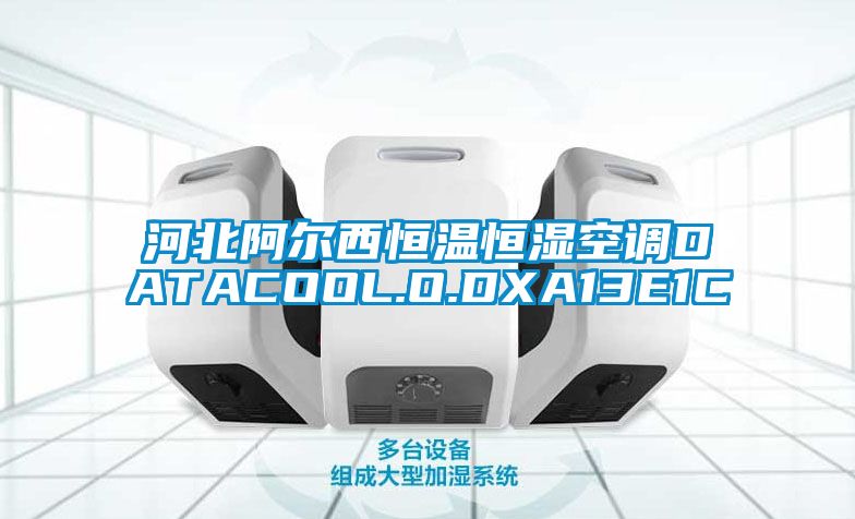 河北阿尔西恒温恒湿空调DATACOOL.O.DXA13E1C