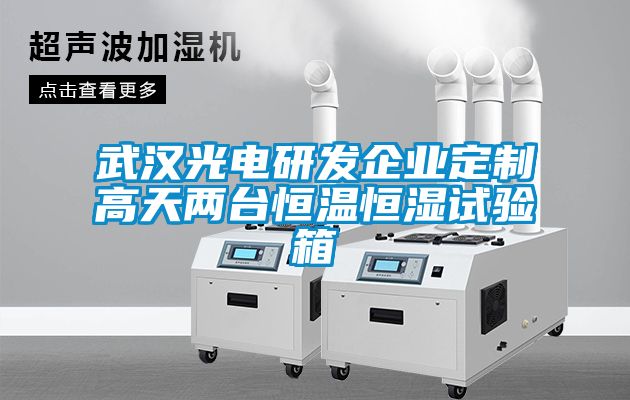 武汉光电研发企业定制高天两台恒温恒湿试验箱