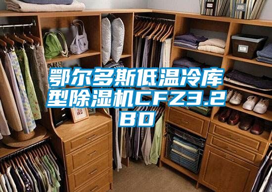 鄂尔多斯低温冷库型除湿机CFZ3.2BD