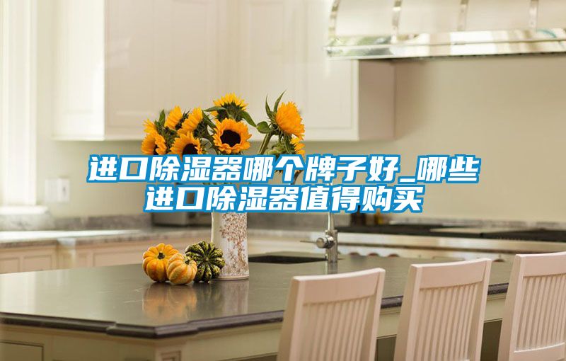 进口除湿器哪个牌子好_哪些进口除湿器值得购买