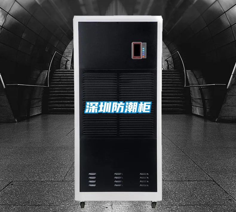深圳防潮柜