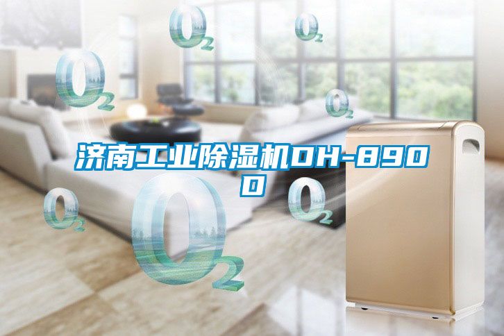 济南工业除湿机DH-890D