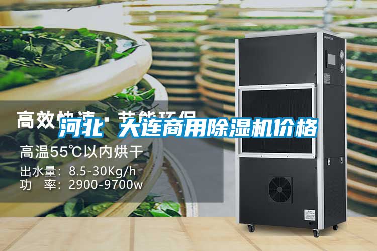 河北 大连商用除湿机价格