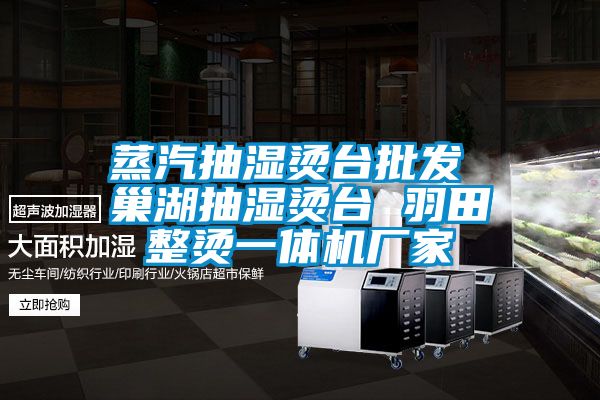 蒸汽抽湿烫台批发 巢湖抽湿烫台 羽田整烫一体机厂家