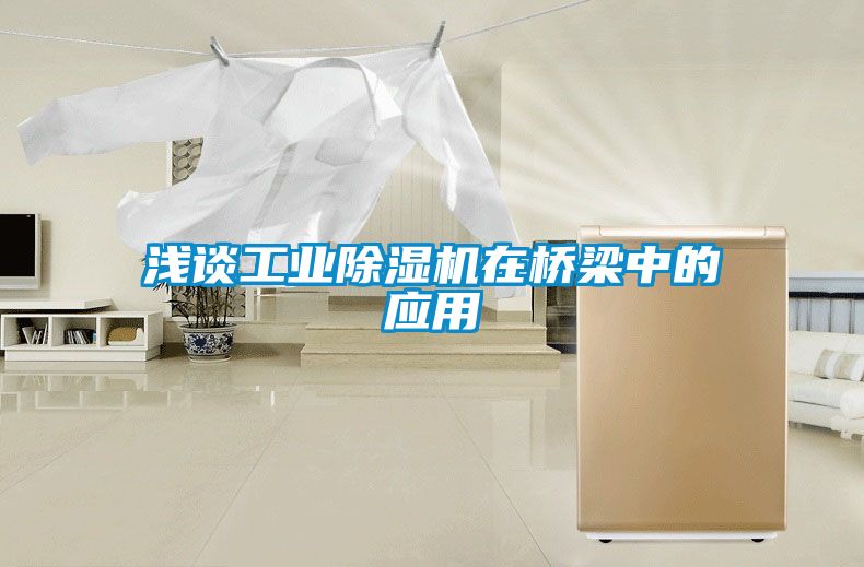 浅谈工业除湿机在桥梁中的应用