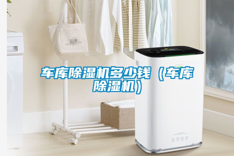 车库除湿机多少钱（车库除湿机）