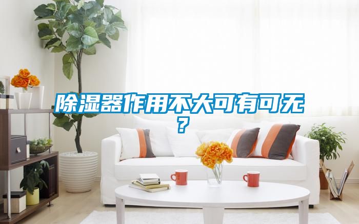 除湿器作用不大可有可无？