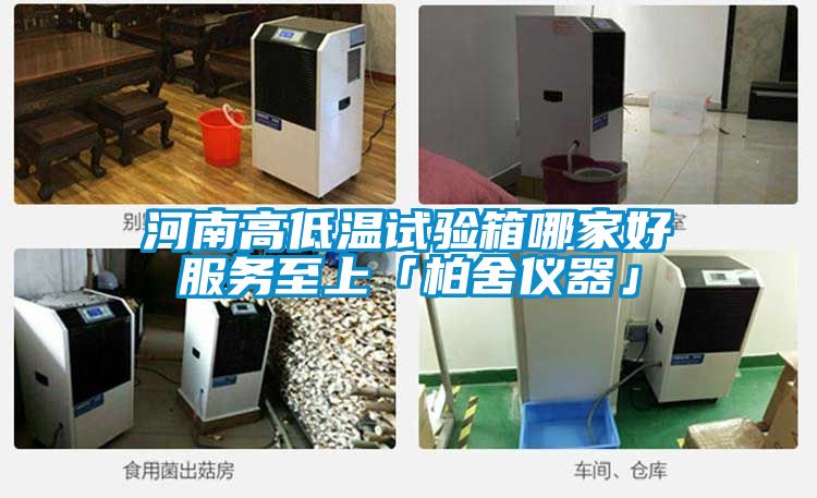 河南高低温试验箱哪家好服务至上「柏舍仪器」