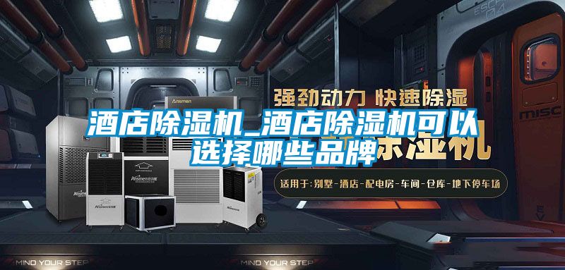 酒店除湿机_酒店除湿机可以选择哪些品牌