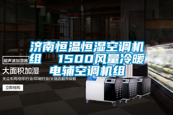 济南恒温恒湿空调机组  1500风量冷暖电辅空调机组