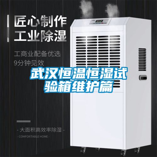 武汉恒温恒湿试验箱维护篇