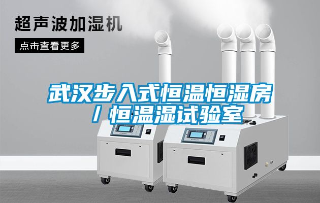 武汉步入式恒温恒湿房／恒温湿试验室