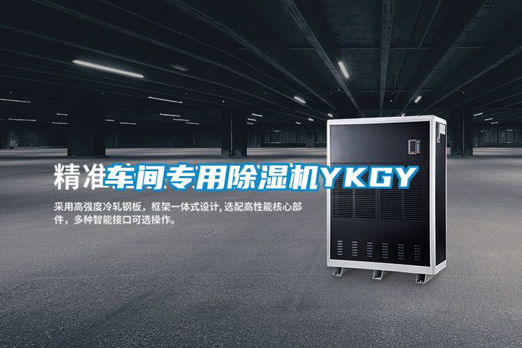 车间专用除湿机YKGY