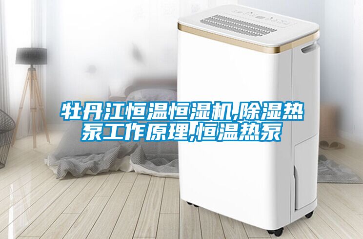 牡丹江恒温恒湿机,除湿热泵工作原理,恒温热泵