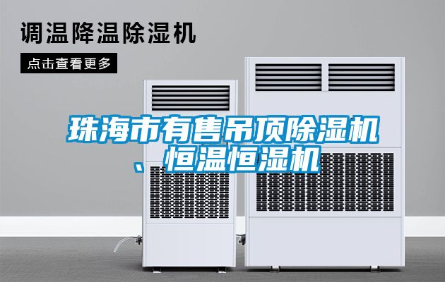 珠海市有售吊顶除湿机、恒温恒湿机