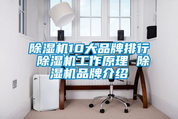 除湿机10大品牌排行 除湿机工作原理 除湿机品牌介绍