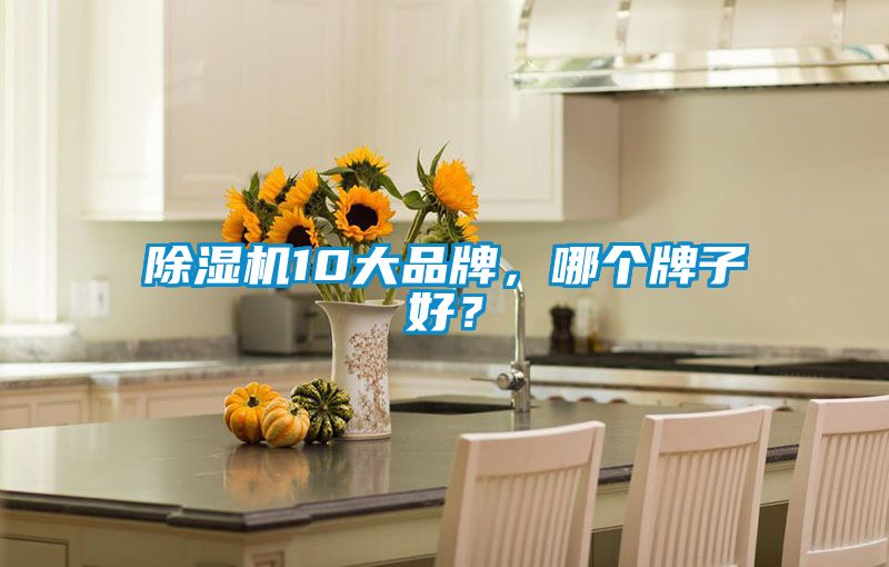 除湿机10大品牌，哪个牌子好？