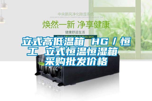 立式高低温箱 HG／恒工 立式恒温恒湿箱 采购批发价格