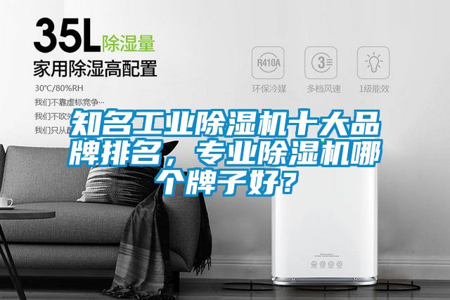 知名工业除湿机十大品牌排名，专业除湿机哪个牌子好？