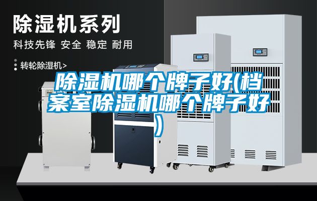 除湿机哪个牌子好(档案室除湿机哪个牌子好)