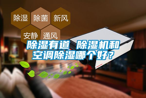 除湿有道 除湿机和空调除湿哪个好？