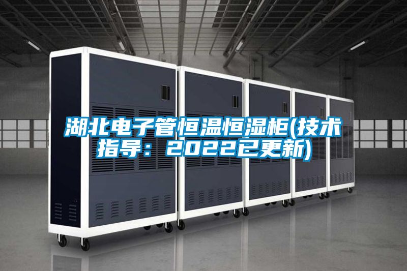 湖北电子管恒温恒湿柜(技术指导：2022已更新)