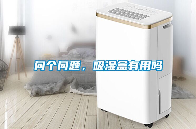 问个问题，吸湿盒有用吗