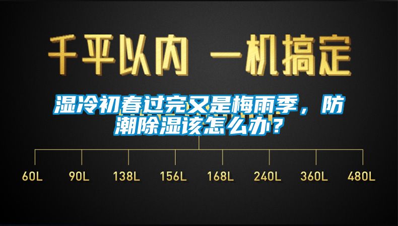 湿冷初春过完又是梅雨季，防潮除湿该怎么办？