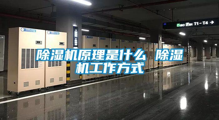 除湿机原理是什么 除湿机工作方式