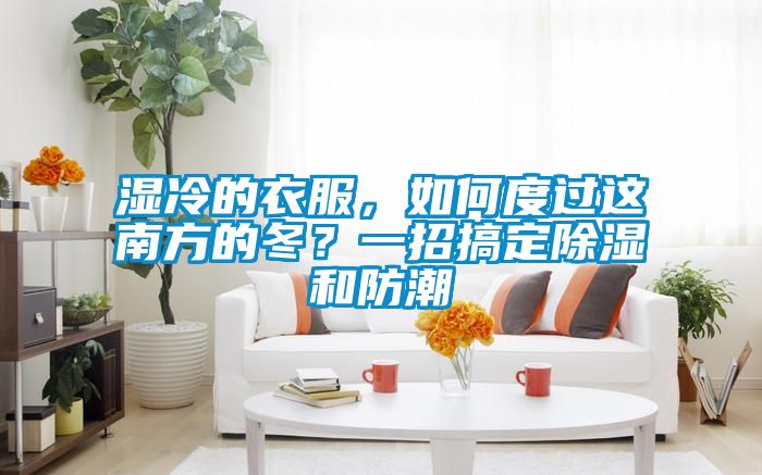 湿冷的衣服，如何度过这南方的冬？一招搞定除湿和防潮
