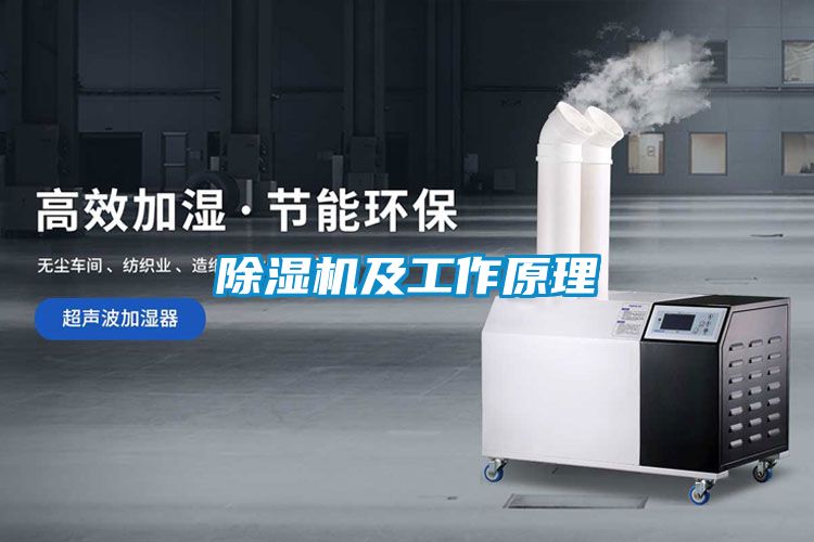 除湿机及工作原理