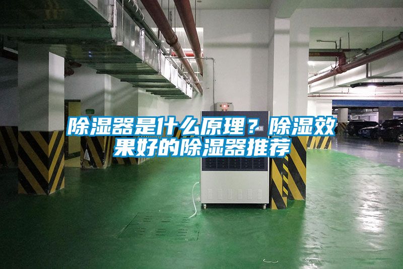 除湿器是什么原理？除湿效果好的除湿器推荐