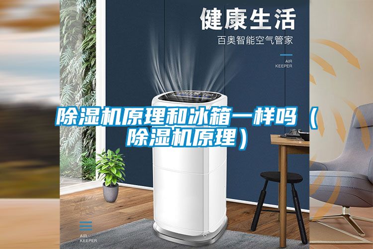 除湿机原理和冰箱一样吗（除湿机原理）