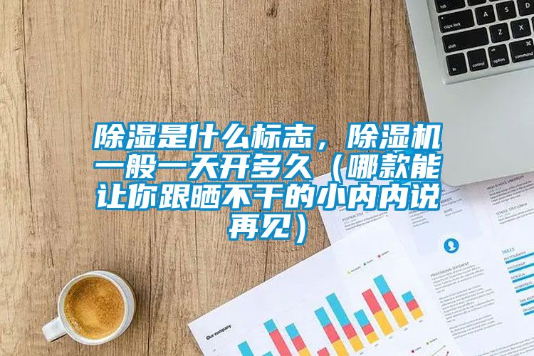除湿是什么标志，除湿机一般一天开多久（哪款能让你跟晒不干的小内内说再见）