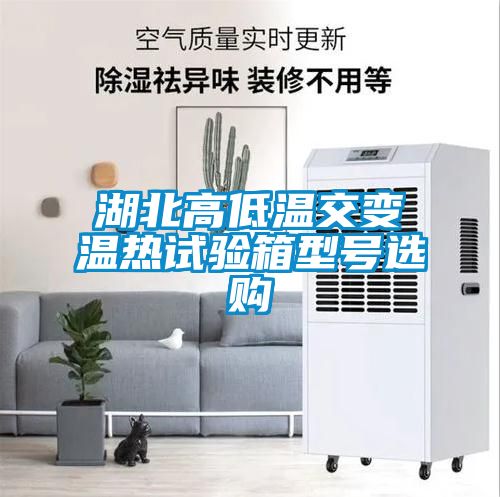 湖北高低温交变温热试验箱型号选购