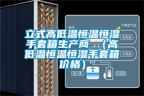 立式高低温恒温恒湿手套箱生产商 （高低温恒温恒湿手套箱价格）