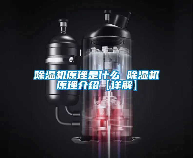 除湿机原理是什么 除湿机原理介绍【详解】