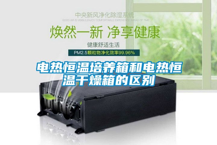 电热恒温培养箱和电热恒温干燥箱的区别