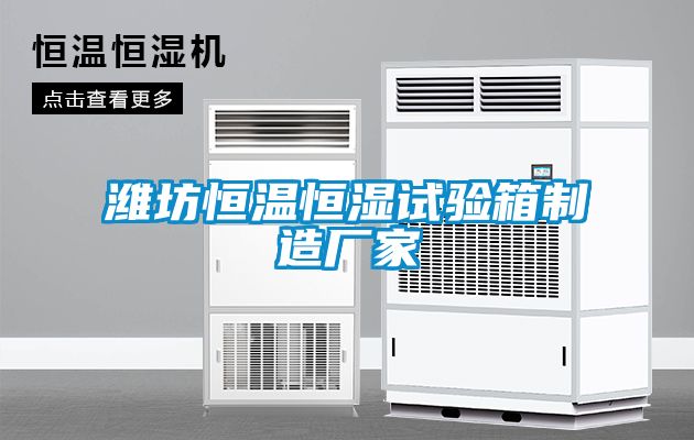 潍坊恒温恒湿试验箱制造厂家