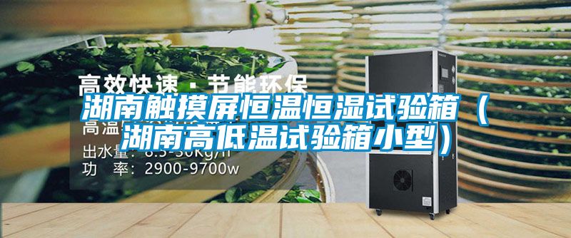 湖南触摸屏恒温恒湿试验箱（湖南高低温试验箱小型）