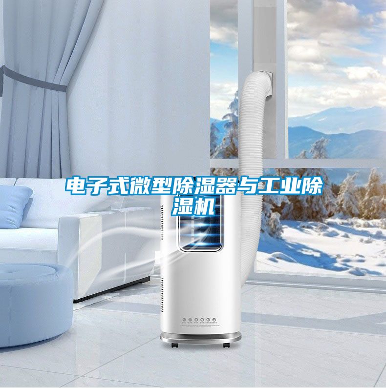 电子式微型除湿器与工业除湿机