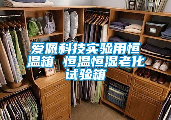 爱佩科技实验用恒温箱 恒温恒湿老化试验箱