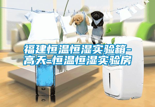 福建恒温恒湿实验箱-高天-恒温恒湿实验房