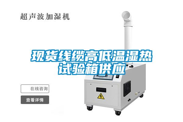 现货线缆高低温湿热试验箱供应