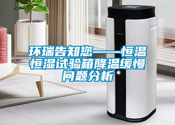 环瑞告知您——恒温恒湿试验箱降温缓慢问题分析