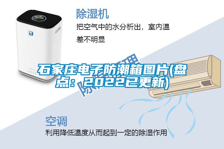 石家庄电子防潮箱图片(盘点：2022已更新)