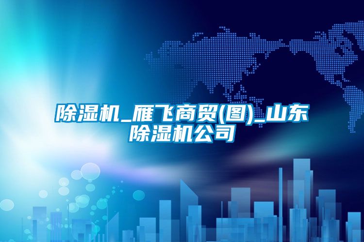 除湿机_雁飞商贸(图)_山东除湿机公司