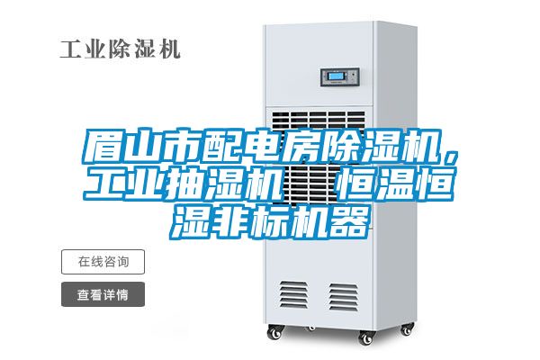 眉山市配电房除湿机，工业抽湿机  恒温恒湿非标机器