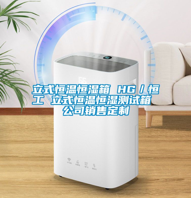 立式恒温恒湿箱 HG／恒工 立式恒温恒湿测试箱 公司销售定制
